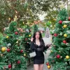 Alisa photo 2, asian, athletic, black hair, 163 cm, 53 kg, Medium bust, Hong Kong