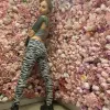Alexa photo 7, european, petite, auburn hair, 156 cm, 46 kg, Medium bust, Hong Kong