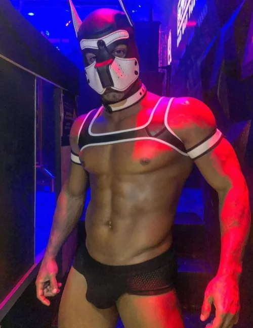 Tony photo 9, european, curvy, black hair, 178 cm, 83 kg, Hong Kong