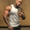 Galvao photo 7, asian, busty, black hair, 180 cm, 95 kg, Hong Kong